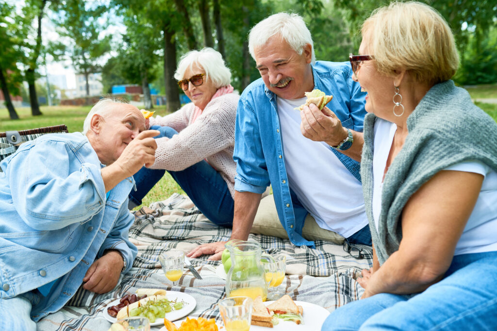 Group of Seniors Enjoying Picnic in Park